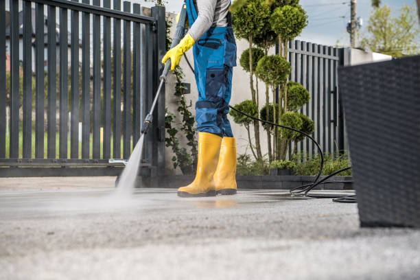 Best Roof Power Washing Services  in Thayer, MO