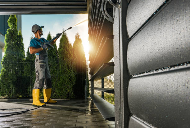 Best Roof Pressure Washing  in Thayer, MO